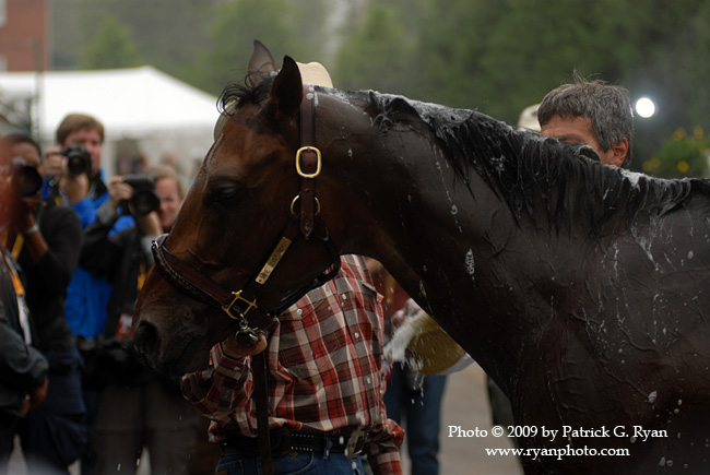 Mine That Bird 2.17 copy Mine That Bird 2.17 copy