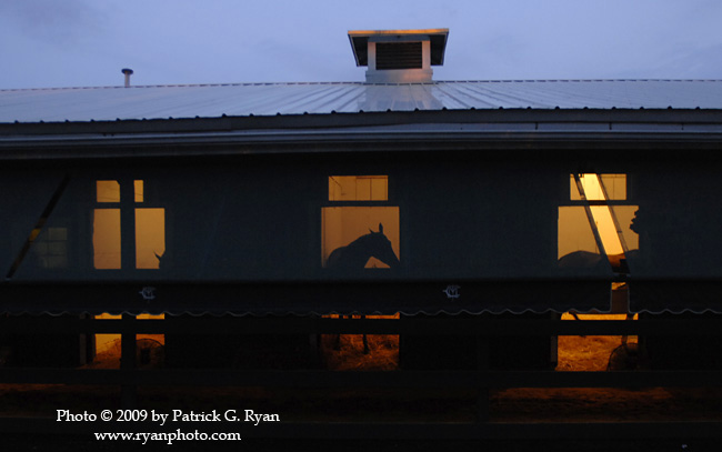 Stakes Barn227 copy