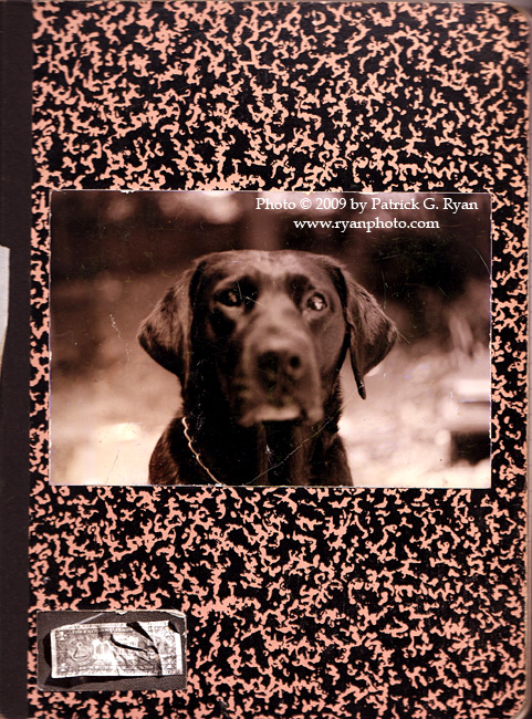 Polly Cover* Polly Cover*