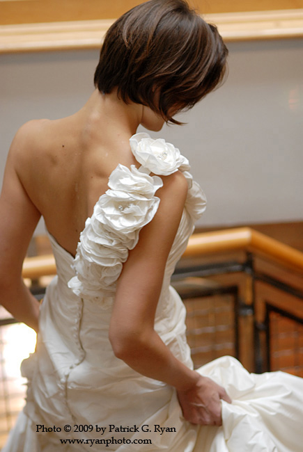 Moonlight D97973* Moonlight D97973*