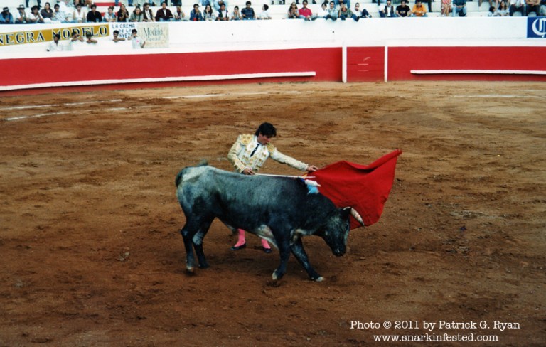 Bullfight*