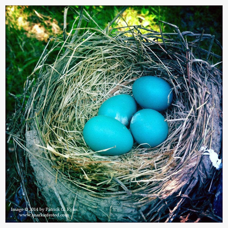 Nest *21