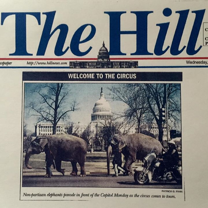 11043091_10203930116393767_3047209580923254468_n