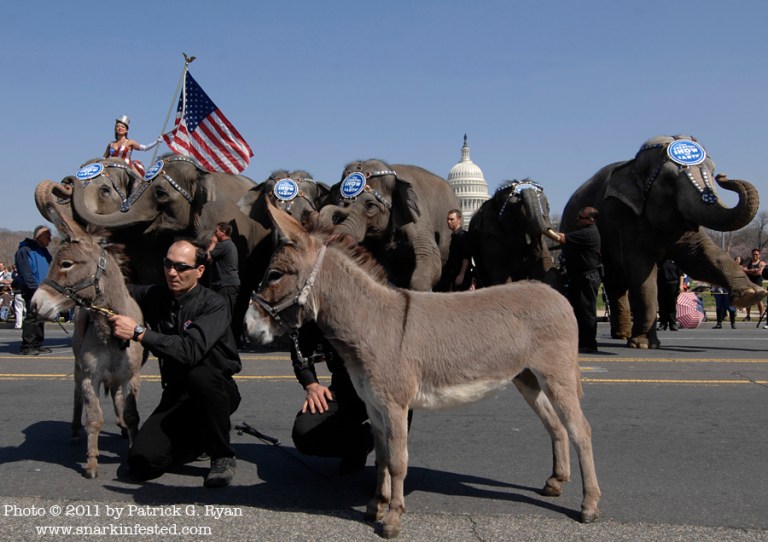 elephant-parade-99 copy